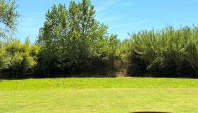 Kerkinis Nest - Foto 4