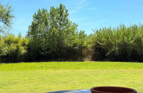 Kerkinis Nest - Foto 4