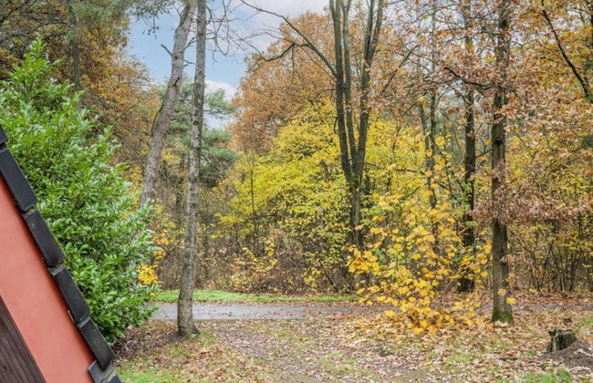 Holiday Home in Stramproy Near Nature Reserve - Photo 27