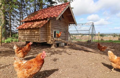 Beth's Cottage - Foto 36