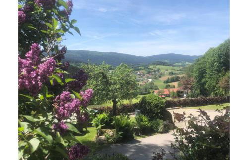 Ferienhaus in Kollnburg mit Garten - Photo 11