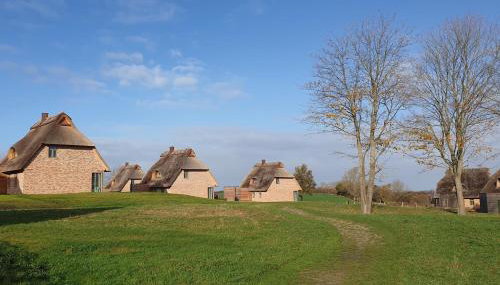 Reetdorf Geltinger Birk Malerhaus Eichenwald - Foto 3