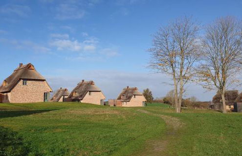 Reetdorf Geltinger Birk Malerhaus Eichenwald - Foto 3