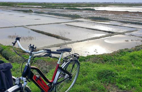 Le Refuge Salin Duplex Jardin - Foto 20