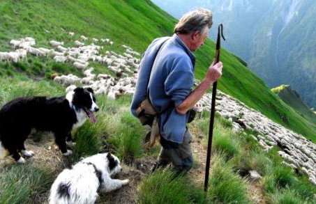 LA MARMOTTE appartement T2 classé 3 étoiles - Foto 31