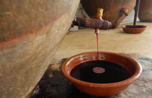 Quinta das Ratoeiras - Foto 30