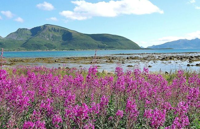 6 Person Holiday Home in Hennes - Foto 1