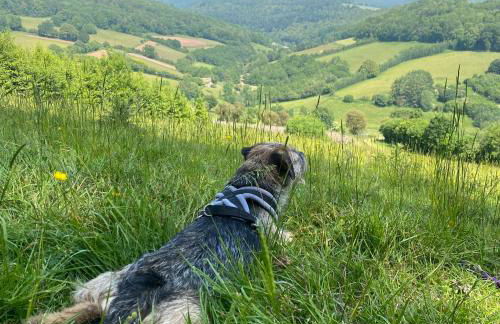 Steeple View - Romantic Wye Valley Country House Studio Apartment - Dog Friendly - Foto 35
