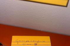 Fiori e Farfalle - Casa Vacanze - Foto 52