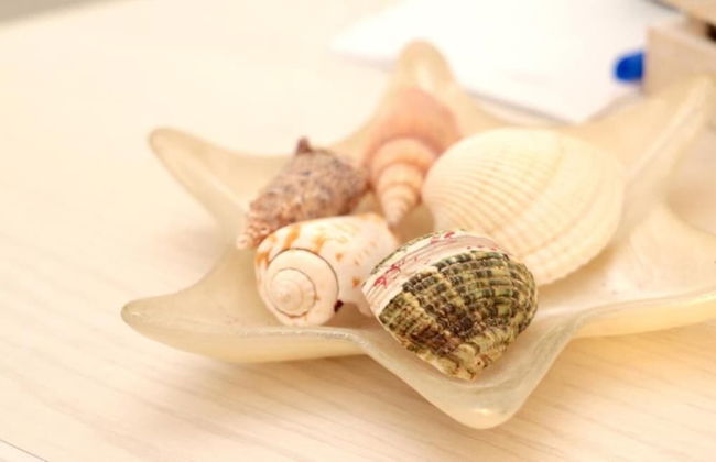 B&B I 100 Passi - Photo 41