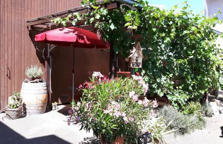 Winzerhof Senn - Foto 44