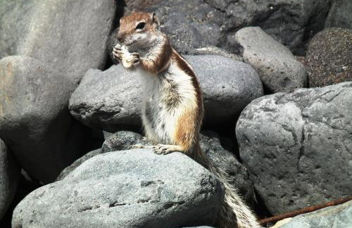 MarVillaFuerte - Foto 42