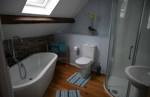 Pant Llwyd Farm - Foto 6