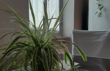 Torino in Colore - Foto 3