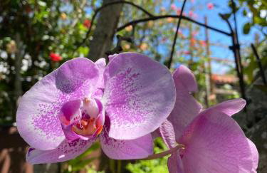 Casa 10 suítes, até 64 pessoas, Praia Ferradura - Foto 57