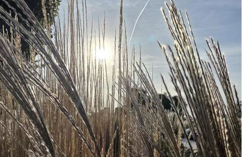 Apartmenthaus-Usedom FamStopp "Kajüte 9" Balkon mit Blick auf den Garten - strandnah - Foto 19