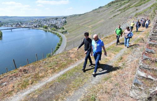 Weingut Mathy-Schanz - Foto 33
