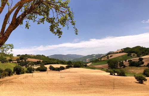 A casa di Matisse - appartamento vacanze - Foto 29