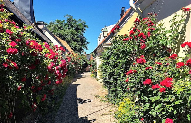 4 Person Holiday Home in Visby - Foto 24