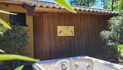Salamandre et Hippocampe - Foto 3