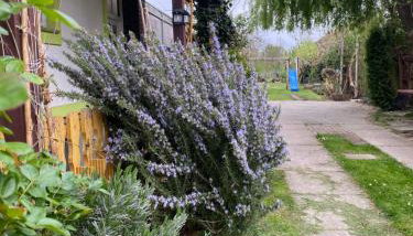 Apartment Hiža 38 - Foto 5