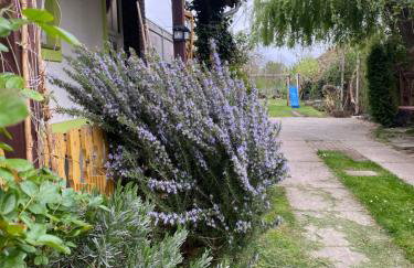 Apartment Hiža 38 - Foto 5