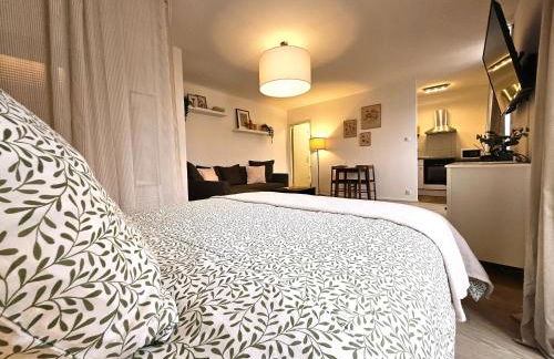 Studio Cosy- Hyper Centre Ville - Foto 7