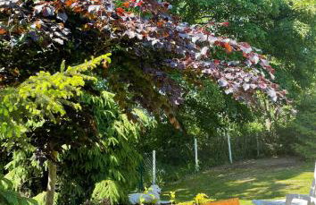 Miętowy Domek Trzebawie - Foto 40