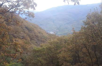 Casa Rural El Regajo Valle del Jerte - Foto 91