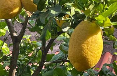 Appartamento La Fontina - Foto 16