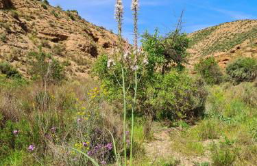 Casa Tropical, serene poolside retreat in nature - Foto 20