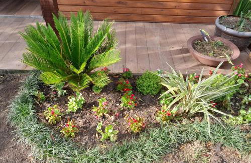 Cabanas dos Pinheiros - Foto 23