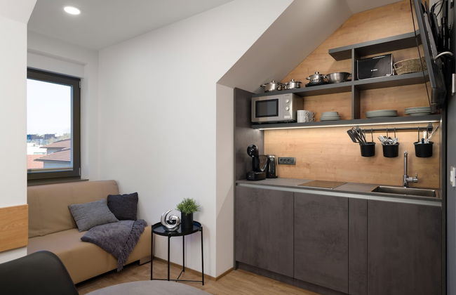 Vila Emona - Central Apartments - Free Parking - Photo 41