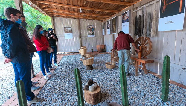 Tule & Teotitlán del Valle Day Trip + Mezcal Distillery - Foto 5