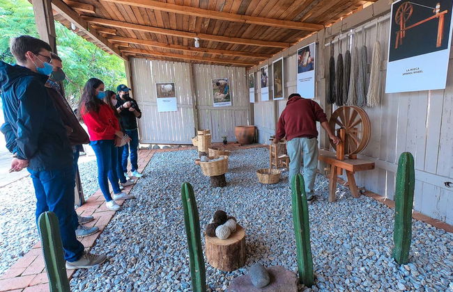 Tule & Teotitlán del Valle Day Trip + Mezcal Distillery - Foto 5