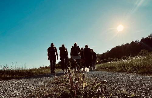 Holle - Land Holidays, parterre Ferienwohnung - Foto 44