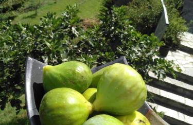 Borgo San Rocco Piemonte - Foto 23