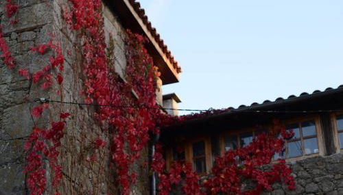 Torre Tanquián Eco Finca - Ribeira Sacra - Foto 5