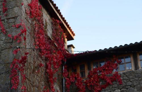 Torre Tanquián Eco Finca - Ribeira Sacra - Foto 5