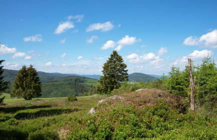Ferienhaus am Südwall links - Foto 38