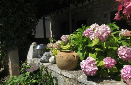 Apartment Kalavojna - Foto 10