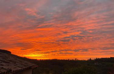 Casa Finetti - Foto 31