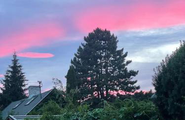 Dzika Foka Wiosłowa 49 - Photo 28