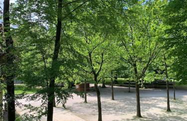 Ferienwohnung Parkblick - Balkon 77m2 - Foto 9