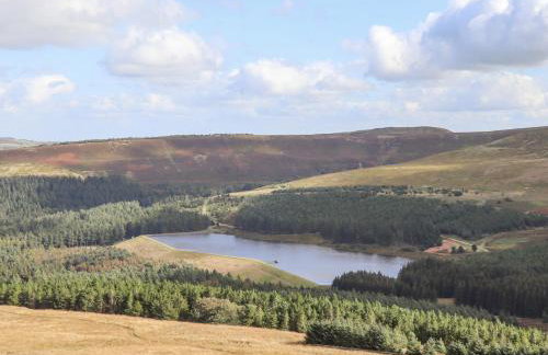 The Hayloft - Photo 21