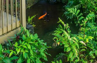 Hana Kai Maui - #105 Kaihalulu - Foto 18