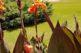 Appartement T2 face au golf - Foto 18