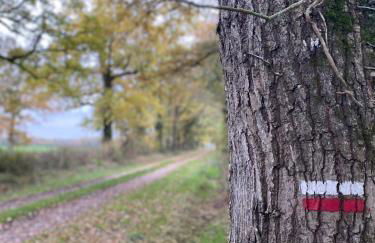 Domaine la Boulinière - Le Faisan - Foto 21