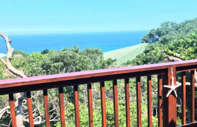 Campismo Ninho 41 - Photo 18