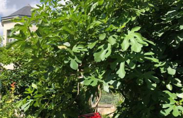 Villa à l'ancien Pigeonnier - Foto 32